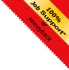 100% Job Support